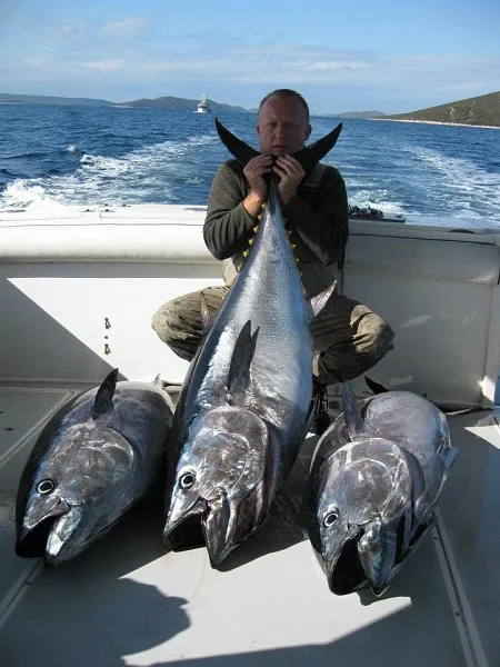 Big Game Fishing Catch